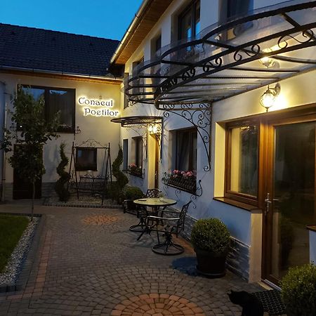 Conacul Poetilor Hotel Gura Raului Exterior photo