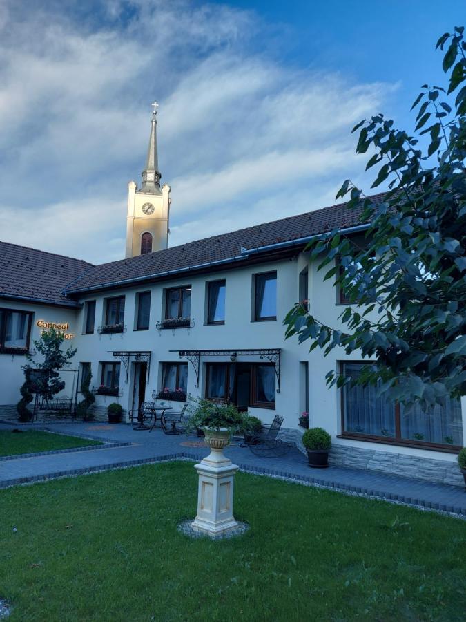 Conacul Poetilor Hotel Gura Raului Exterior photo